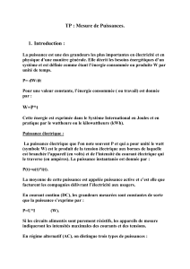 TP : Mesure de Puissances - Rapport de Laboratoire
