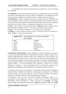 Syst&eacute;matique bact&eacute;rienne : Cours de microbiologie g&eacute;n&eacute;rale