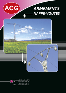 Armement nappe-voutes