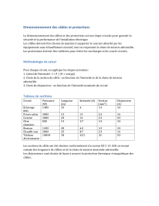 Dimensionnement Câbles et Protections Électriques