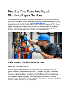 Plumbing Repair Services: A Homeowner's Guide