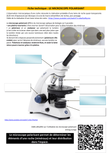 Microscope polarisant : Guide d'analyse des roches