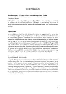 Mita--pisciculturehorssol