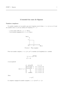 Signaux : L'essentiel du cours (ENSIP 1)