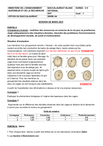 Bac Blanc SVT A4 - Génétique, Immunologie, Reproduction