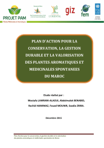 Plan d'action PAM Maroc : Conservation et Valorisation