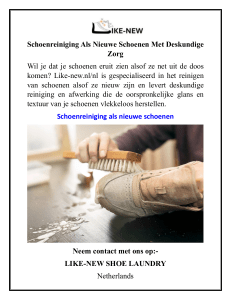 Schoenreiniging Als Nieuwe Schoenen Met Deskundige Zorg
