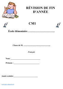 Révision Français CM1: Exercices de fin d'année