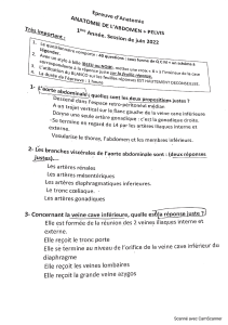 Examen Anatomie Abdomen Pelvis - QCM