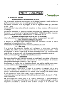 L'Activit&eacute; Cardiaque: Automatisme et R&ocirc;le du Syst&egrave;me Nerveux
