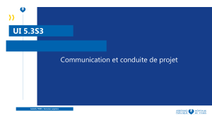 UI 5.3S3 : Communication et conduite de projet