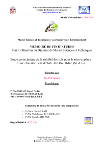 Étude géotechnique : Stabilité des sols pour la construction routière (Jbel Bou Rdim)