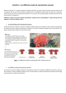 Reproduction asexuée : Exercice de biologie 4ème