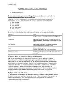 Synthèse récapitulative pour l’examen de juin