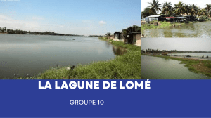 Vulnérabilités de la lagune de Lomé : Changement climatique et écosystèmes