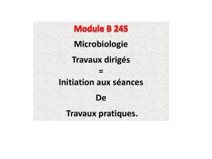 Notes de cours de microbiologie : Culture, Croissance, Identification