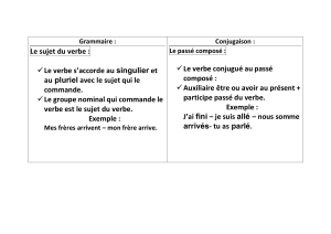 Grammaire Fran&ccedil;aise : Sujet, Pass&eacute; Compos&eacute;, Orthographe