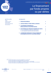 Financement d'Entreprises : Fonds Propres vs Dettes