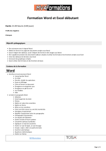 Programme Formation Word & Excel Débutant