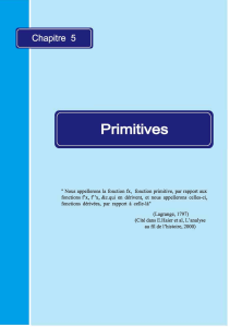 Primitives : D&eacute;finition et Concepts Math&eacute;matiques