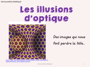 Illusions d'optique : présentation pour enfants