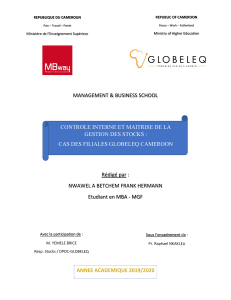 Contrôle Interne et Gestion des Stocks GLOBELEQ Cameroun