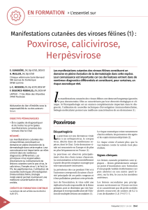 Viroses félines : Manifestations cutanées, diagnostic et traitement