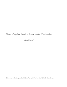 Cours d'alg&egrave;bre lin&eacute;aire, niveau universitaire