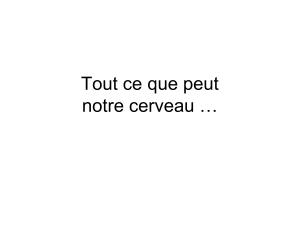 Illusions d'optique : défiez votre cerveau !