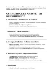 Gymnastique et Posture - Kinésithérapie : Fiche de Synthèse
