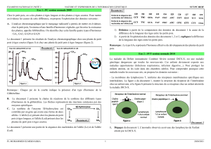 Examen de Biologie : Information Génétique