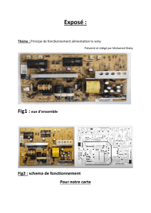 Alimentation TV Sony : Principe de Fonctionnement
