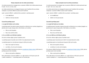 Temps composés : Verbes pronominaux - Grammaire française