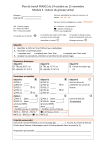 Plan de travail FRA9C2 : Autour du groupe verbal