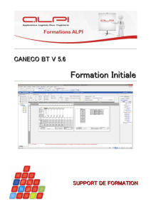 Formation Caneco BT V5.6 : Support de Cours Initial