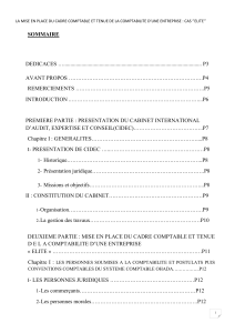 Mise en place cadre comptable et tenue comptabilité : Cas ELITE