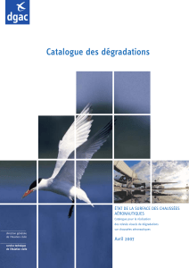 Catalogue des dégradations