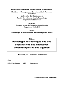 Pathologie des chaussées aéroportuaires en Algérie