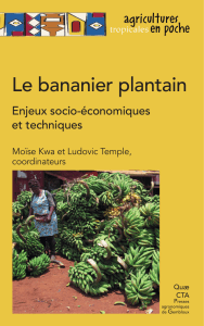 Le bananier plantain : Enjeux et techniques de culture