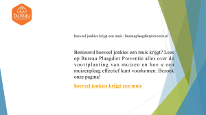 hoeveel jonkies krijgt een muis  bureauplaagdierpreventie.nl