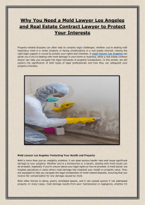 Why You Need a Mold Lawyer Los Angeles and Real Estate Contract Lawyer to Protect Your Interests