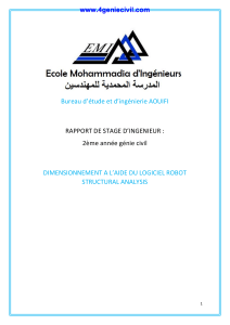 Rapport de stage : Dimensionnement avec Robot Structural Analysis