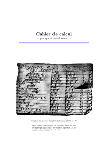 Cahier de calcul : pratique et entraînement