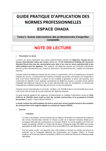 Guide Normes Professionnelles OHADA: Expertise Comptable