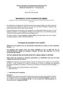 Mini Mental State Examination (MMSE) Form