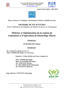 Ma&icirc;trise et optimisation de la STEP de Khouribga - M&eacute;moire de Master