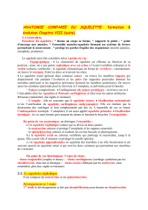 Anatomie comparée du squelette : formation et évolution