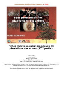 Fiches techniques plantation arbres Madagascar
