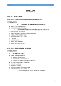 Rapport de stage infirmier - H&ocirc;pital Laquintinie Douala