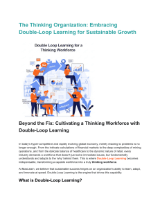 Double-Loop Learning: Thinking Organizations & Growth